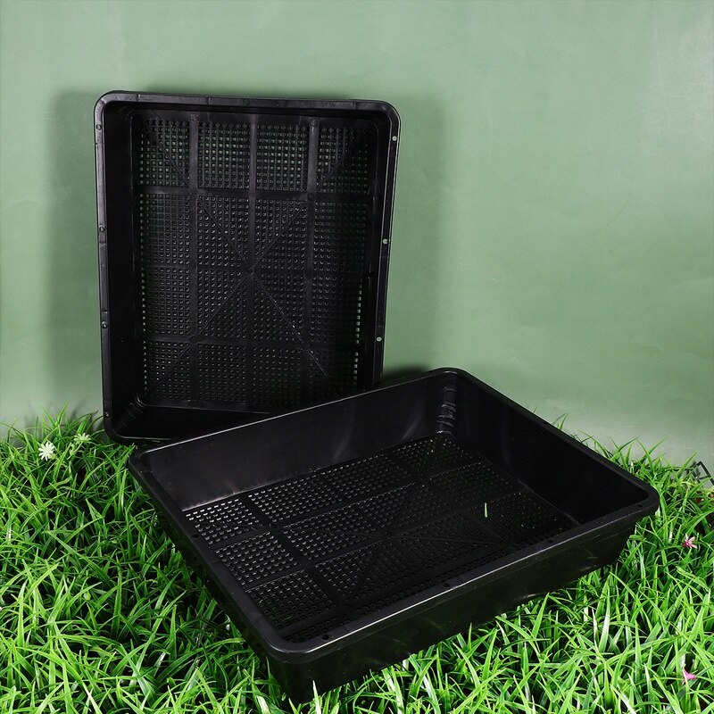 3 Pack Plant Growing Trays Garden Mesh Bottom Plastic Plant Trays for Wheatgrass, Plants, Hydroponic Dish Seedling Basin