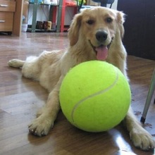 24cm/9.5 tum stor gigantisk husdjurshund tennisboll husdjurssport utomhusspel tennisboll hund tugga leksak husdjur tillbehör