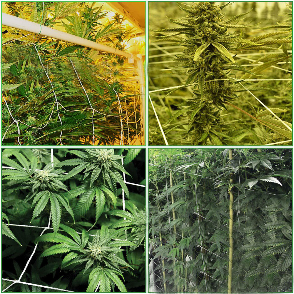 Soporte de malla enrejado para jardín, red de nailon verde para plantas, redes para plantas trepadoras de judías, valla fencerda, red de nailon para jardinería