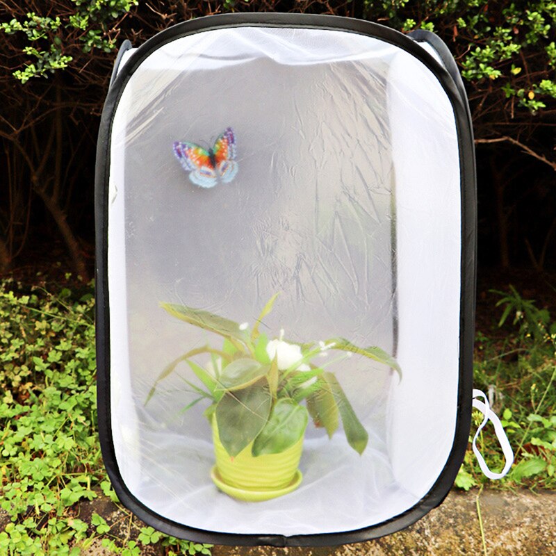Jaula para criar insectos, jaula para mariposas, cercado: 40x40x60cm