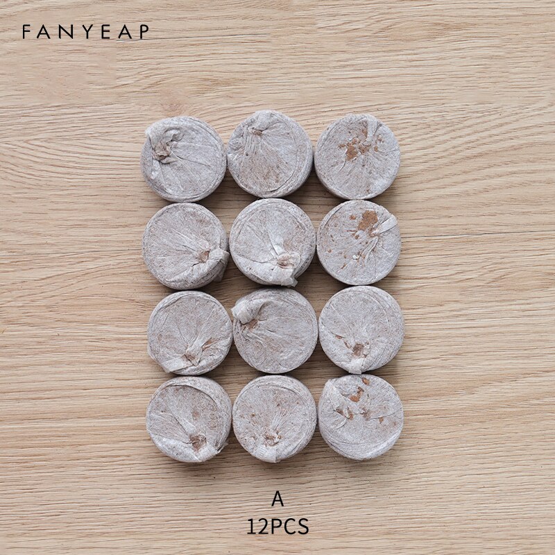 Nursery Pots Plant Seed Box Tray Insert Seeding Case Plastic Plant Seeds Growing Box Base Garden Grow Box: A 12PCS