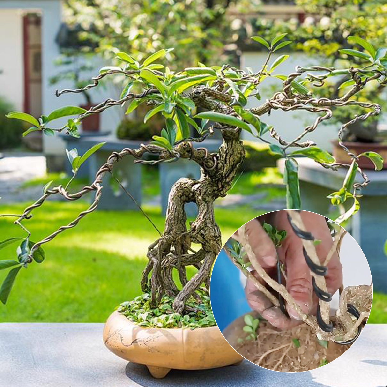 Alambre para bonsái negro de 3m/5m/10m, lazos de entrenamiento para bonsái de aluminio anodizado, soporte para plantas, ramas, cuerdas de fijación curvadas, accesorios de jardín