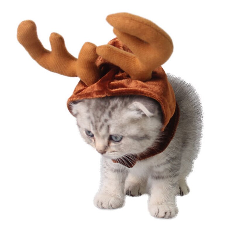 Kerst Huisdier Leuke Rendier Kostuum Hoed Voor Kat En Kleine Hond