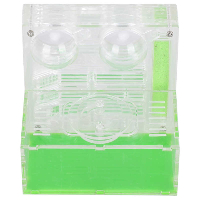 Insects Box ant farm Transparent Acrylic Ant Breeding Box Watching Feeding Moisturizing Ants Case B Type Reptiles Living Box