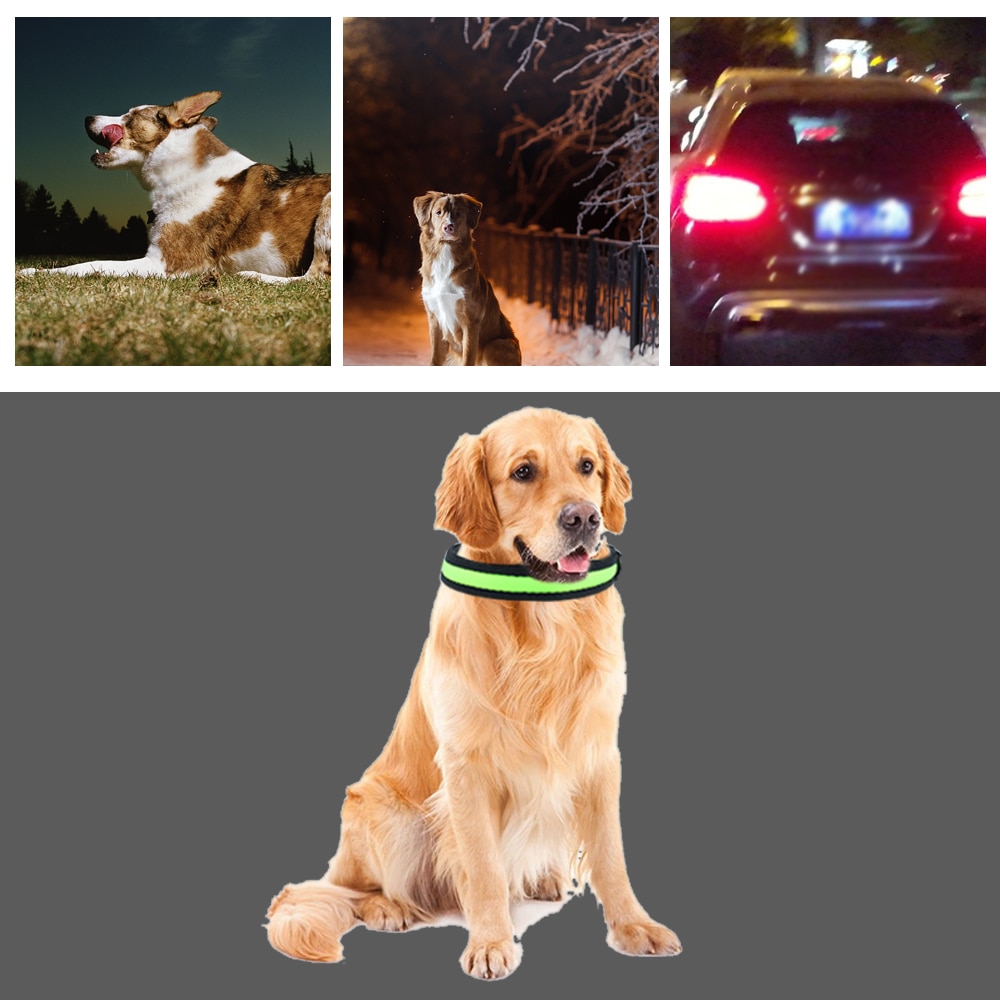 Waterdichte LED Halsband USB Opladen Anti-Verloren Nylon Licht Kraag Voor Honden Puppy Hond Supplies Pet Producten Accessoires