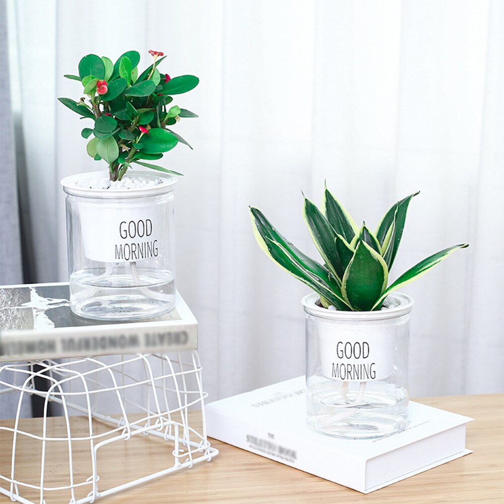 Pot de fleurs transparent pour plantes 1 pièce, pot de fleurs de jardin et de balcon, objets ménagers, plantation hydroponique du sol