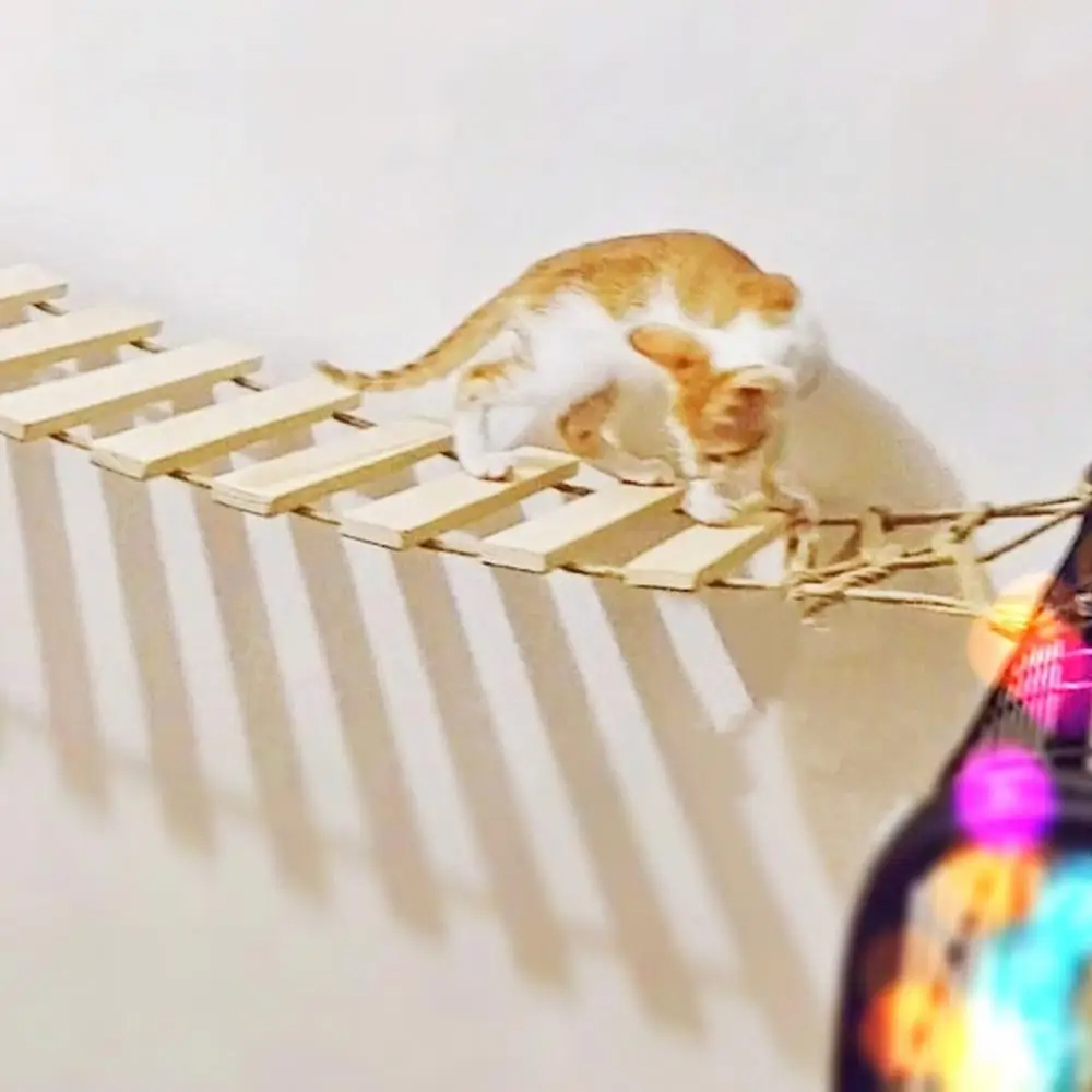 50CM/100CM Sisal Seil oder Holz Leiter Katze Klettergerüst Spielen Katze Brücke Haustier drinnen draussen möbel Katze Liefert