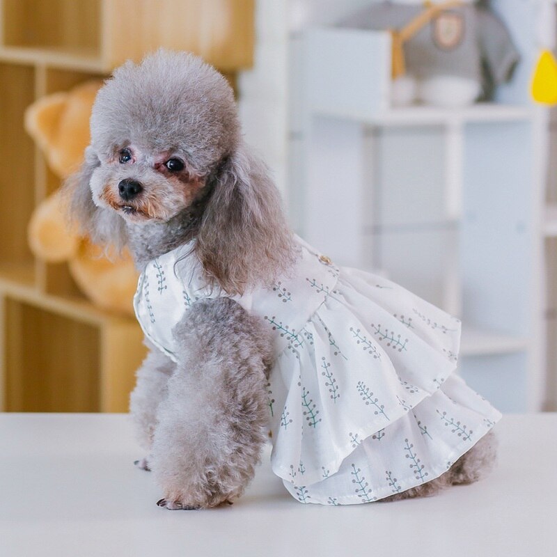 Hond Jurk Hond Kleding Voor Kleine Hond Trouwjurk Rok Puppy Kleding Lente Huisdier Kleding Chihuahua Yorkie Voor Kleine honden