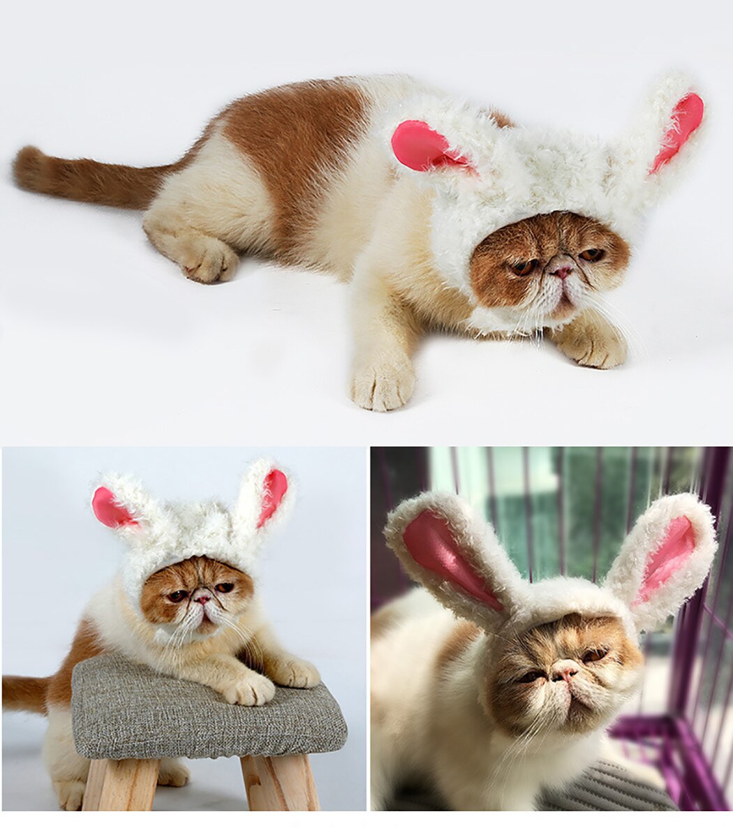 Peluca decorativa con Orejas de conejo peludas para mascotas, disfraz de gatito, adorno de conejo, novedad de