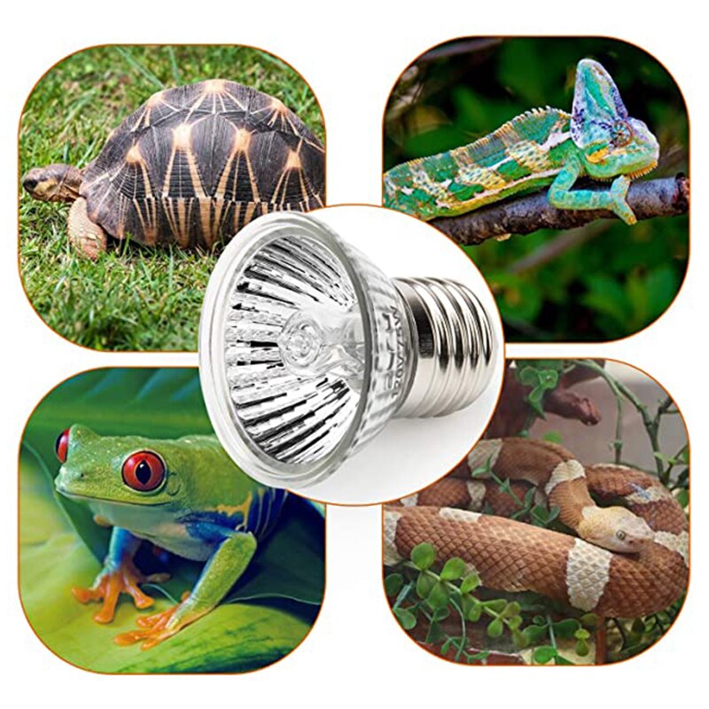BENE Reptil Voll Spektrum Lampe Terrarium Heizung Birne für Grübler, Schildkröte Eidechse Chamäleon bärtig Drachen Amphibien Terrarium