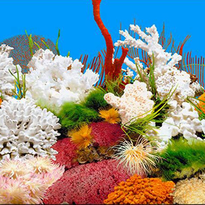 NHBR Aquarium hintergrund papier HD bild 7d drei-dimensional fisch Panzer tapete hintergrund malerei doppelseitig Aquarium