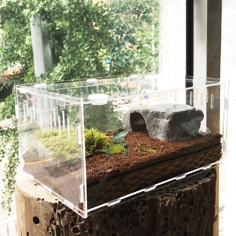 Transparent Acrylic Reptile Box for Spiders Tortoise Lizard Breeding Insect Box Vents Sliding Small Pet Terrarium Vivarium