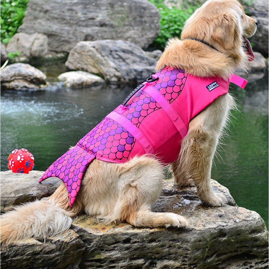 Hond Reddingsvest Vest Kleding Zwemvest Kraag Harnas Hond Zwemmen Zomer Badmode Mermaid Shark