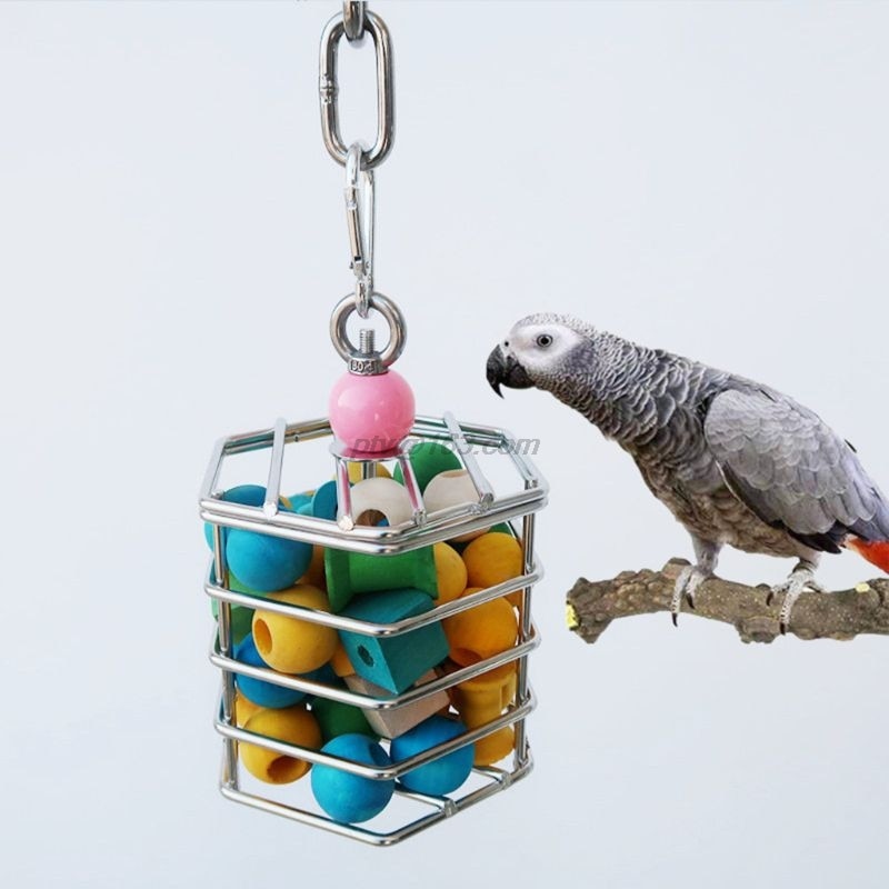 Papegaai Rvs Foerageren Speelgoed Vogelkooi Opknoping Chew Speelgoed Met Blok Binnen Voor Afrikaanse Grijs