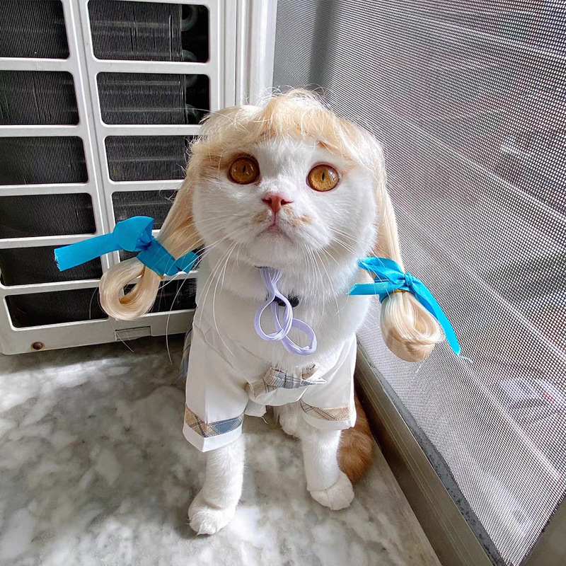 Dogs Cats Headdress Funny Pet Wigs Bangs Exploding Head Braids Straight Hair Nylon Fibre Material Halloween Pet Accessories: Red