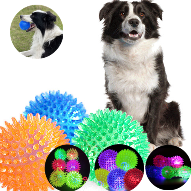Balle de Massage lumineuse pour chien, jouet pour animaux de compagnie, coloré et doux