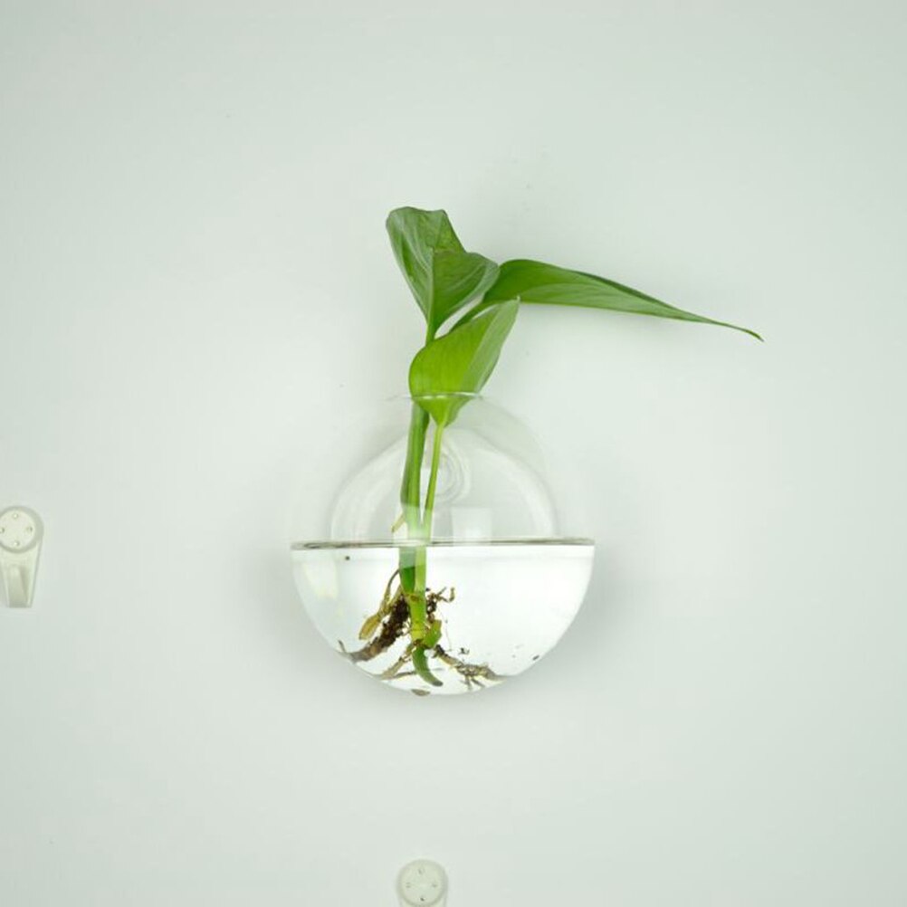 6 former diy klar hängande glasvas blomväxter terrariumbehållare vas mikro landskap bröllopsdekoration