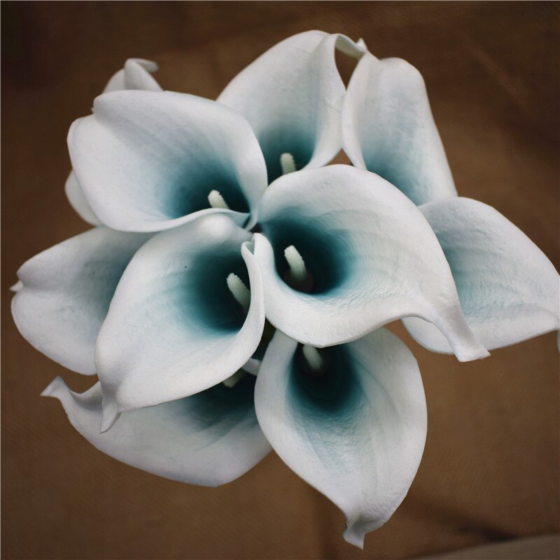 Oasis Teal Wedding Flowers Teal Blue Calla Lilies 10 stem Real Touch Calla Lily Bouquet Wedding Centerpieces artificial flowers: Teal blue center
