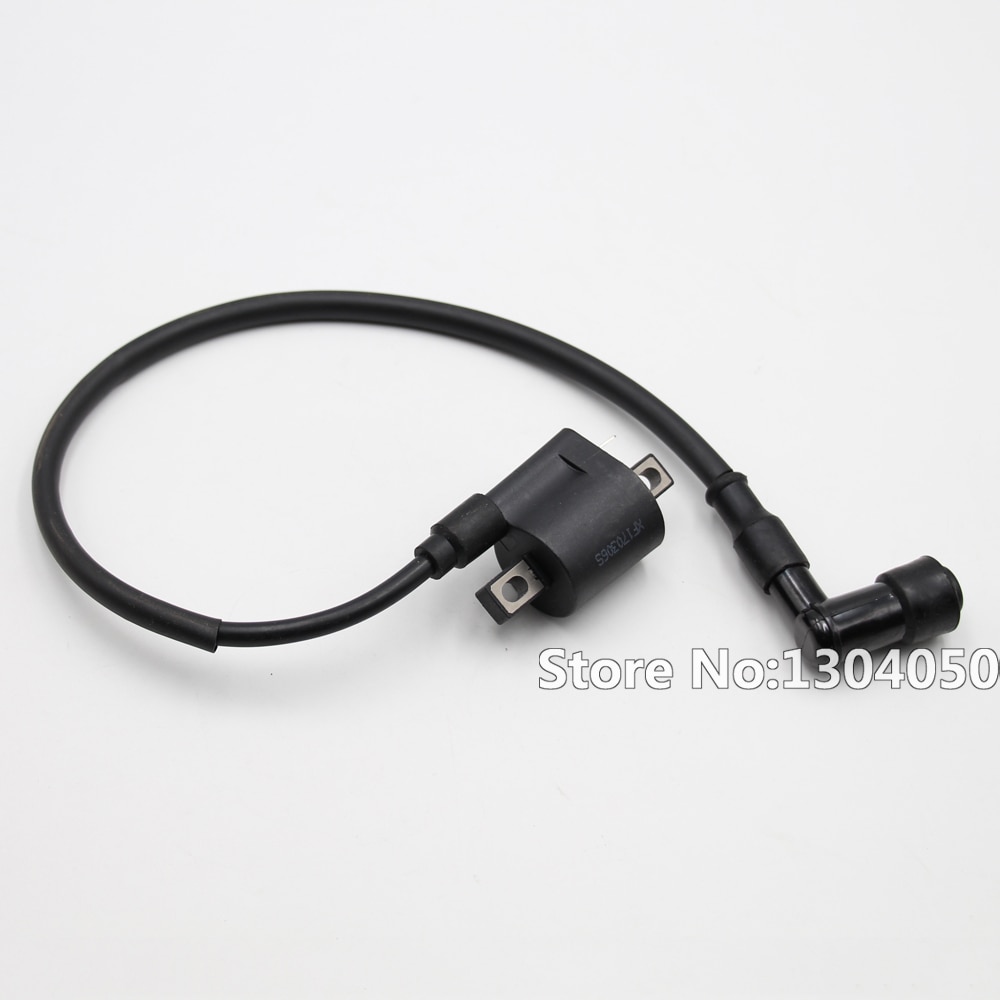 Complete Electrics Wiring Harness CDI Ignition Coil Switch D8EA Spark Plug Chinese Dirt Bike 150 200 250cc Zongshen Loncin