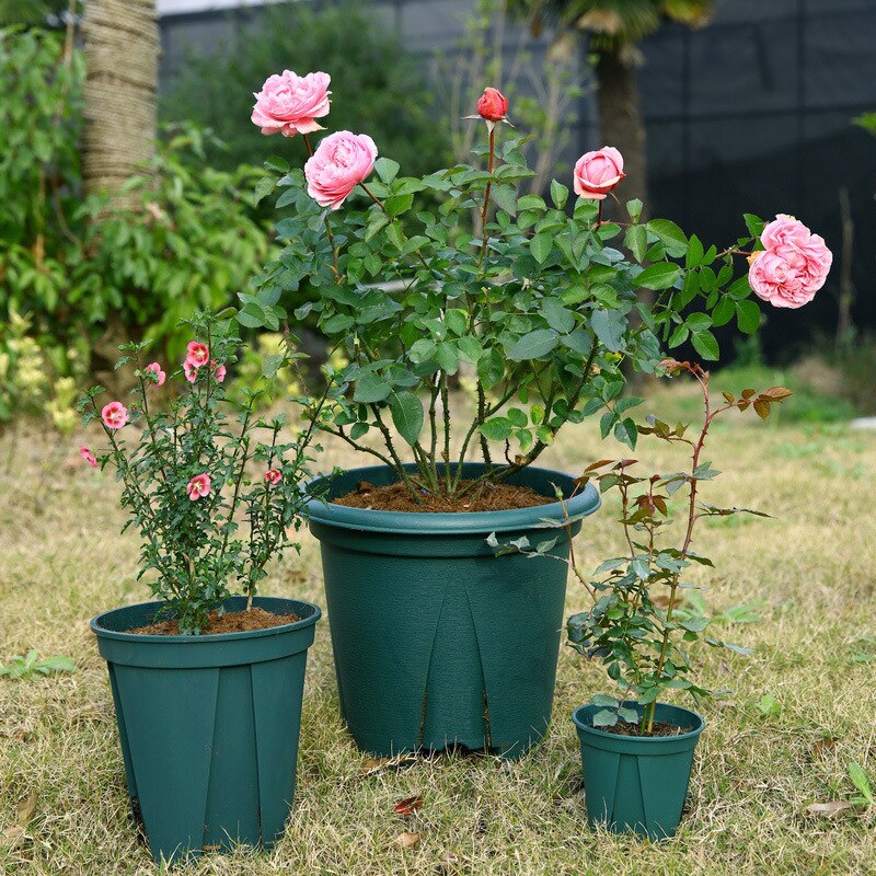 24*24 planteplantepotte i plast, frøplantebrett hjemmehage rotplantepottetransplantasjon blomsterbeholder saftig blomsterpotte stor kapasitet
