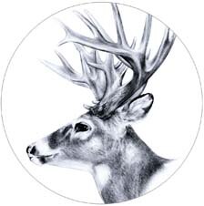 Popping Telefoon Houder Попсокет Accessoires Draagbare Socket Swappable Grip Voor Telefoons Tabletten Stand Pocket Socket Voor Iphone: Colour 9