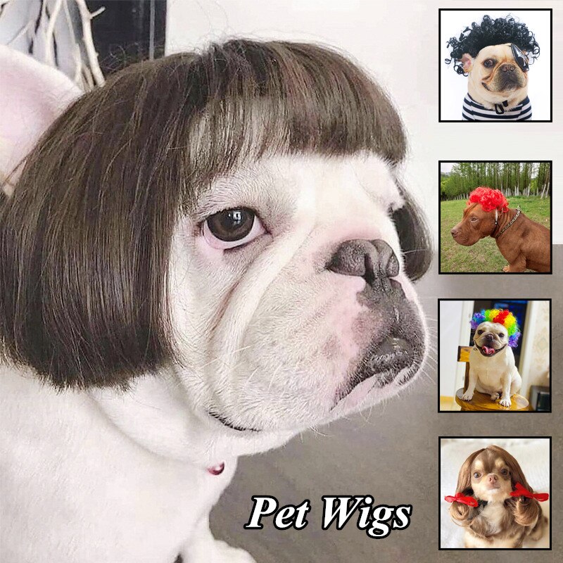 Perruque de déguisement d&#39;halloween pour chien, chapeau de Cosplay amusant, accessoire pour chien, bouledogue français, Chihuahua, d&#39;anniversaire