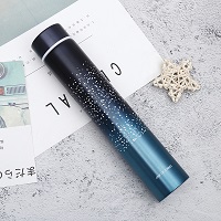 20 Color 260ML Slim Insulated Vacuum Flasks Thermal Bottles Thermos Coffee Mug Stainless Steel Thermos Cup Water Bottle: 15