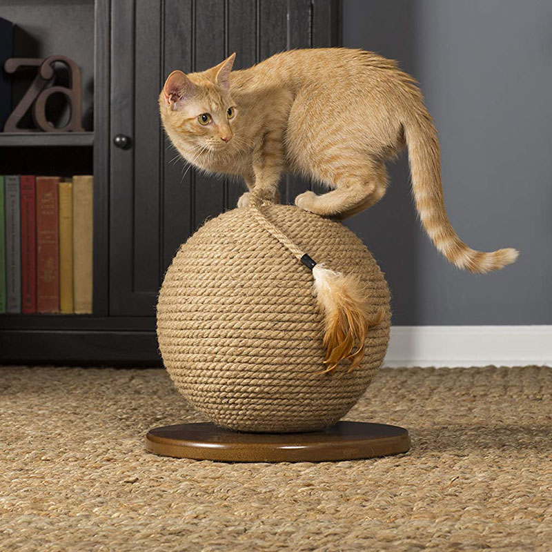 Katt skrape ball kaktus katt skrape ball, kaktus ball katt leke morsomt kjæledyr interaktivt leke skrape ball flott