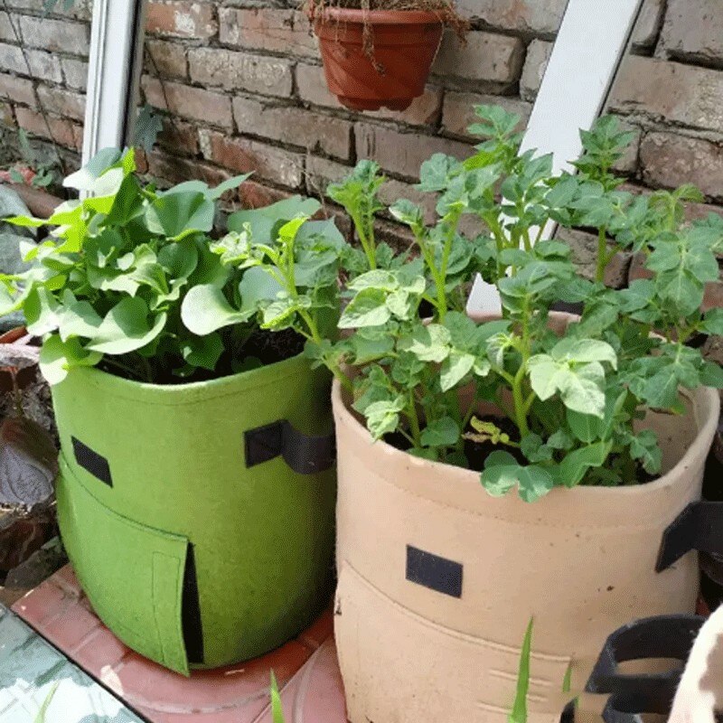 4-15 Gallon Plant Pots Flower Vegetable Moisturizing Planting Container Potato Grow Bags Home Garden Tool Fabric Carrot Planters