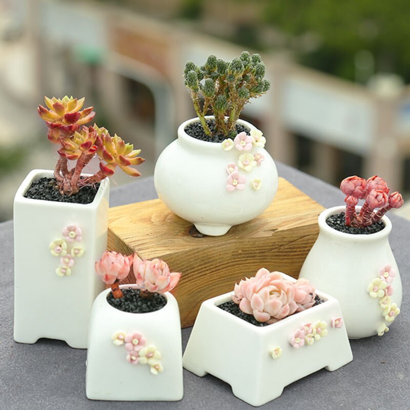 Succulent Bloempot Keramische Combinatie Set Kleine Verse Speciale Vlezige Plant Pot