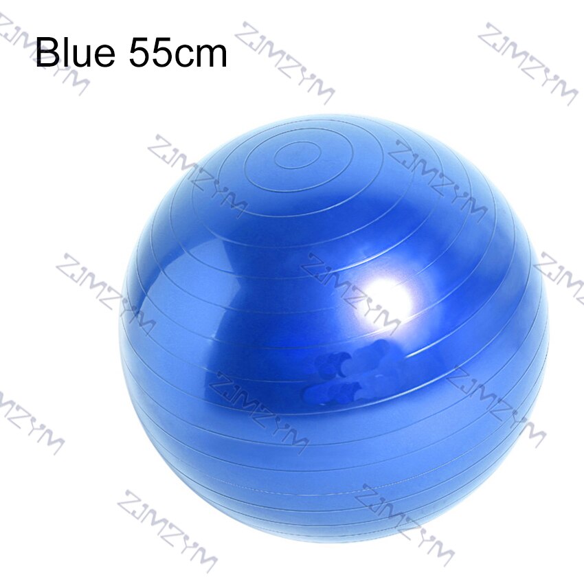 55cm/65cm/75cm Fitness Ball Household Exercise Massage Training Balance Fitball Yoga Pilates Workout Ball with Manual Inflator: Blue 55cm