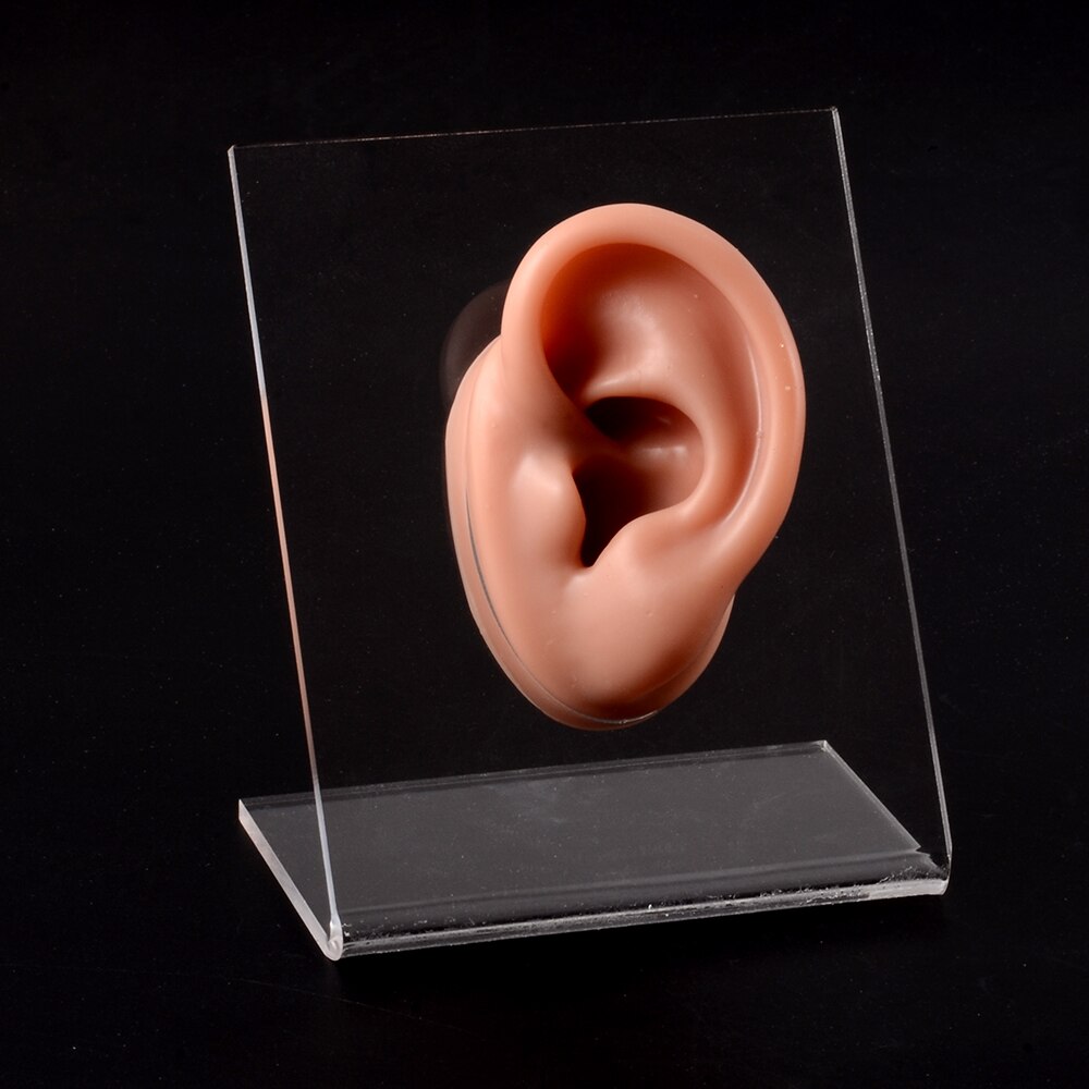 Modello di naso dell&#39;orecchio in Silicone con bordo trasparente pratica professionale piercing strumenti orecchini orecchini a bottone Display può essere riutilizzato gioielli: Coffee Left