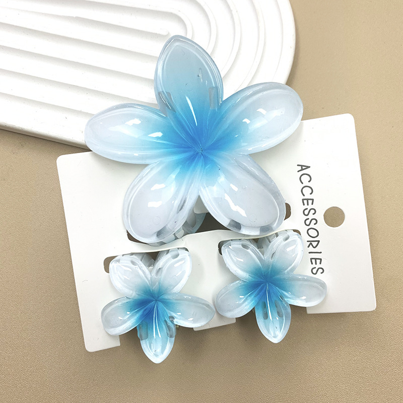 3 pièces/ensemble fleur douce dégradé coloré griffes de cheveux queue de cheval Cip pince Barrettes épingles à cheveux pour femmes fille plage cheveux accessoires