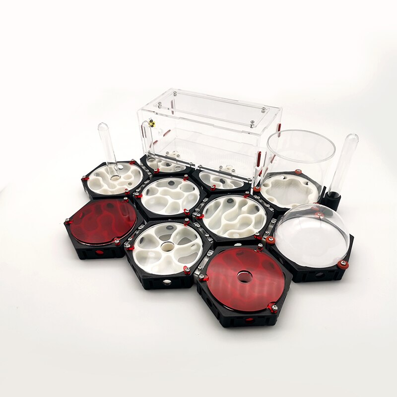 Ant Space Station 3D Ant Nest Queen Nest Acrylic Ant Nest Idea Reptile Terrarium Ants Farm House
