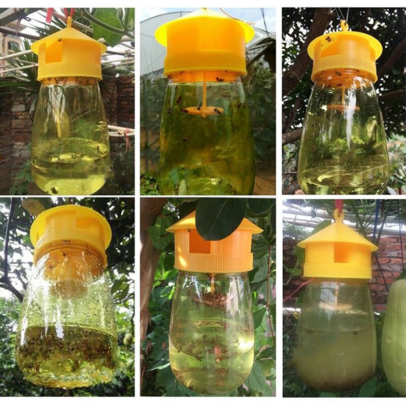Useful Yellow Trap Fruit Stalls Home Farm Orchard ... – Vicedeal