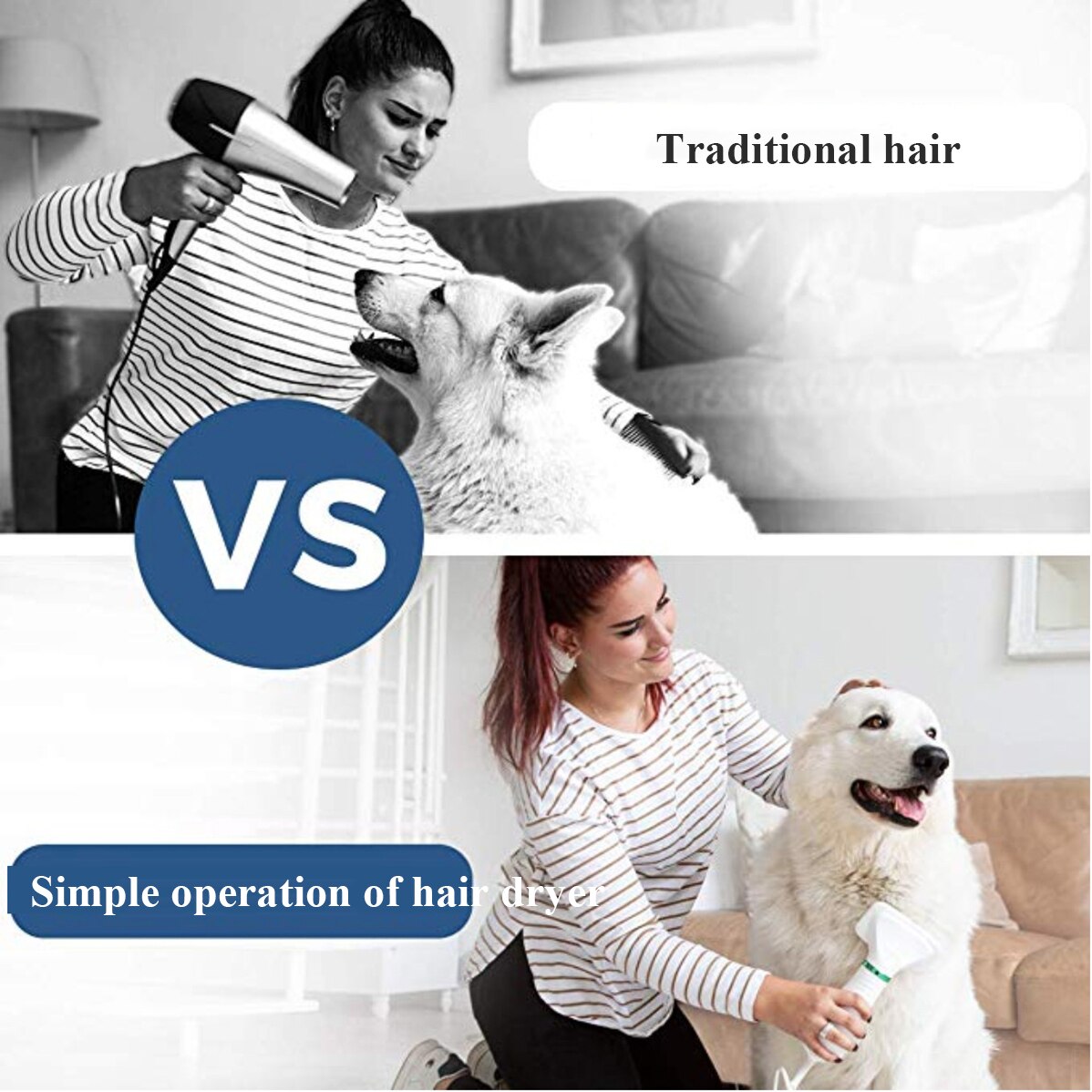 2 in 1 Portable Pet Hair Dryer Pin Cat Drying Hair Removal Pet Comb Beauty Stainless Steel Low Noise EU/US/UK/AU Plug 100-240v