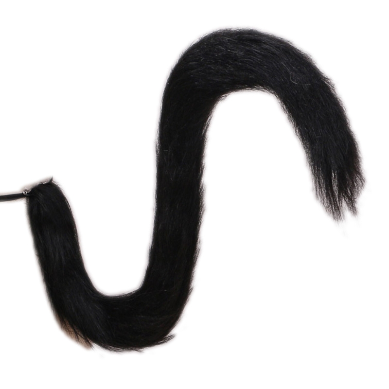 Peluche longue Flexible pour queue chat, accessoires déguisement pour adultes enfants, Cosplay: Black