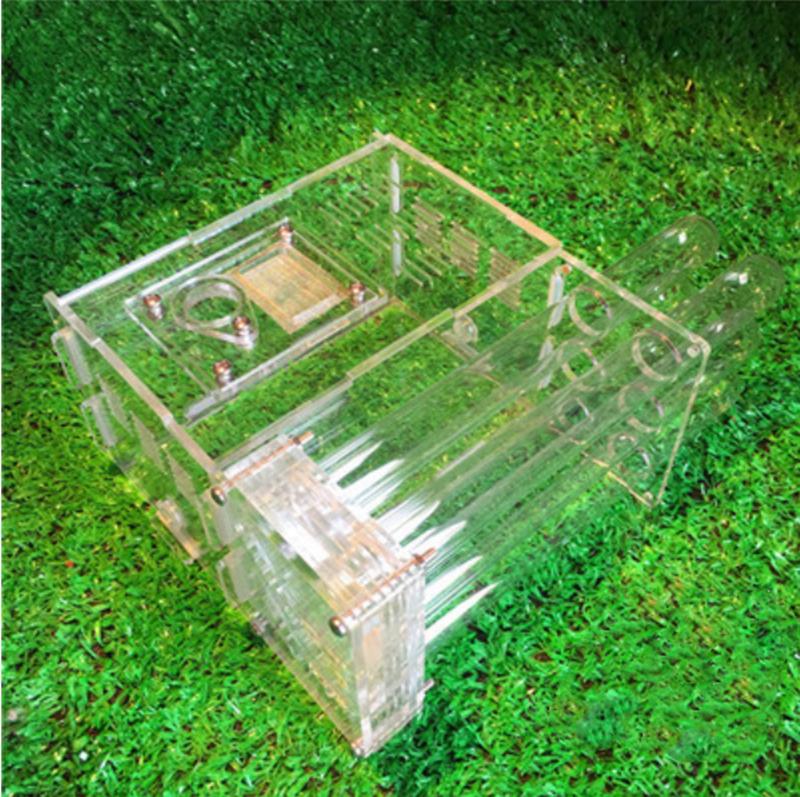 Acrylic Ant Farm with Feeding Area Ant Nest Ants House Factory Insect 6 Test Tubes Pet Anthill: Type1