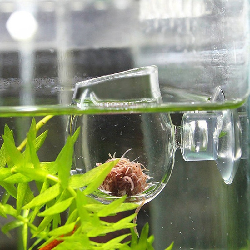 Klart glas rejer fodring mad fad akvarie akvarium glas foder kop fiske feeder lage rejer æg mad til akvariet