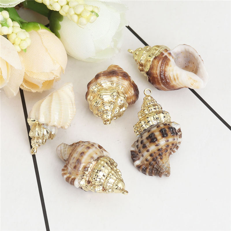 5 PCs Natural Shell Pendants Gold Conch/ Sea Snail Multicolors Charms For DIY Handmade Jewelry Making