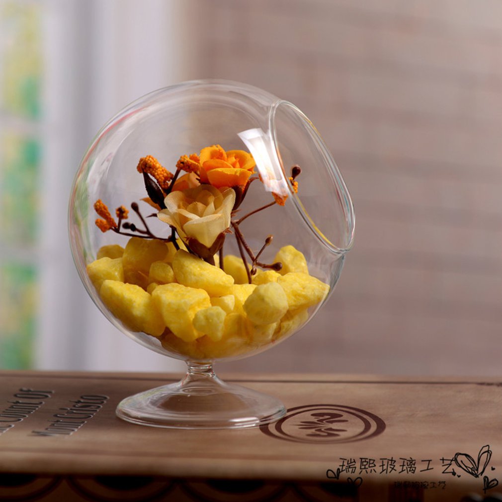 Transparente redondo borosilicato botella de vidrio hidropónico planta florero Mini paisaje flor suculentas plantador