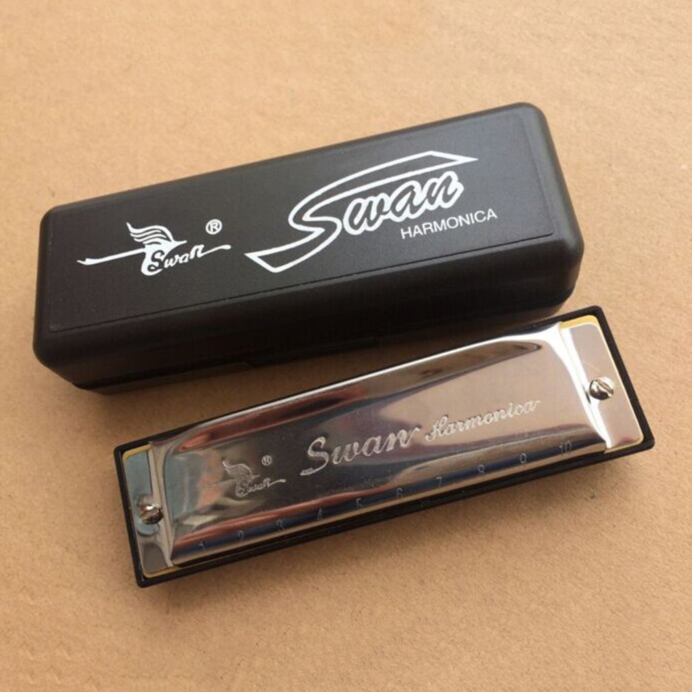 10 otwór harmonijka polifoniczna C ton harmonijka początkujący praktykujący harmonijka dzieci trwały instrument