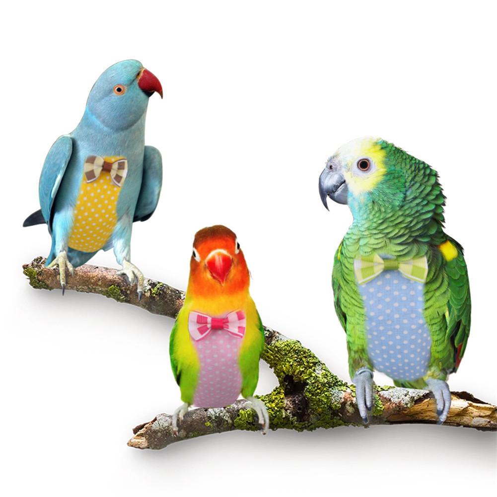 Innovadoras pájaro mascota ropa loro pañal servilleta hecho a mano pájaro pantalones lindo traje de vuelo piloto ropa para Cockatiel periquito