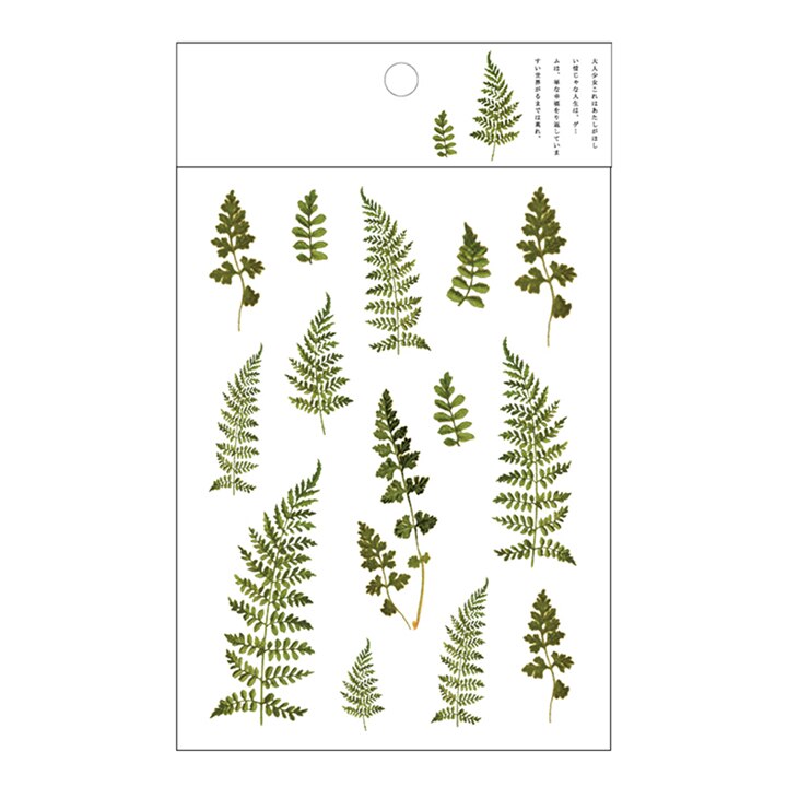 Kokorosa12 Designs Natural Daisy Clover Japanese Words Stickers Transparent PET Material Flowers Leaves Plants Deco Stickers: Light Green
