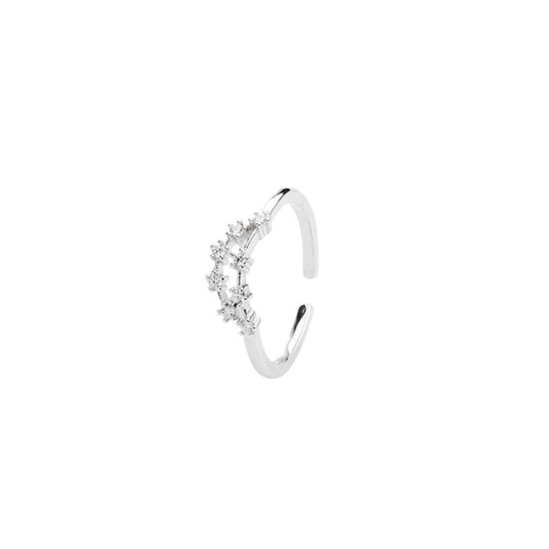 925 prata esterlina pino feminino estilo fresco e simples incrustado com pedra preciosa 12 constelações único anel: Capricorn