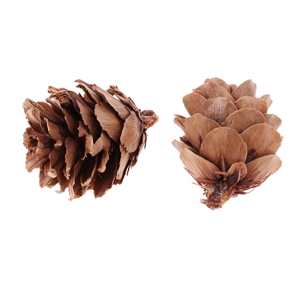60pcs Natural Decorative Pine Cones Pinecone for Christmas Ornament Crafts