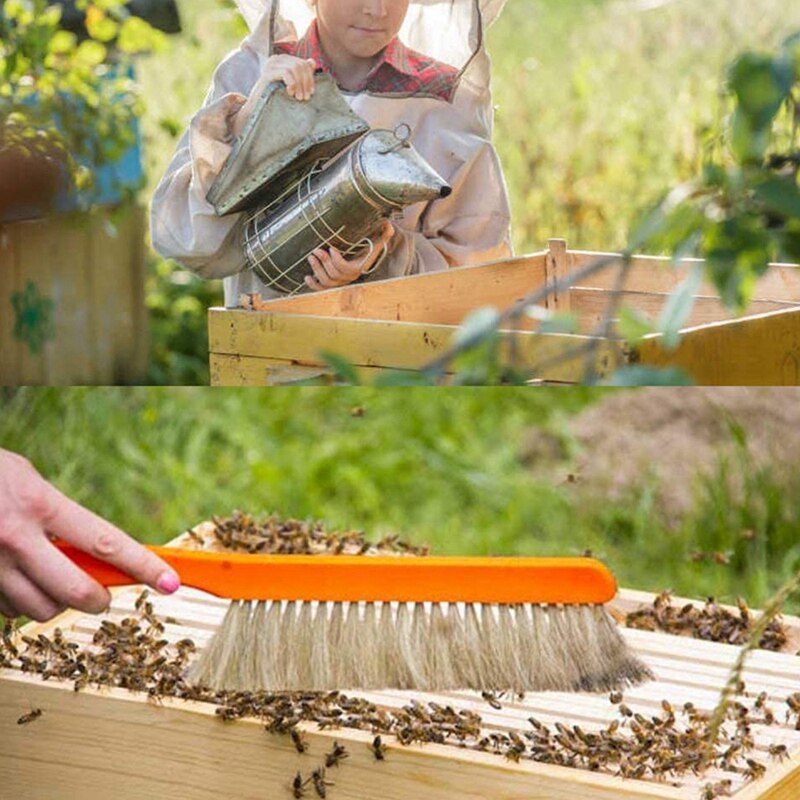 Kit de iniciación de herramientas de miel de apicultura, conjunto de 9 SUMINISTROS DE EQUIPO DE ahumador de colmena de abejas con guantes de apicultor al por menor