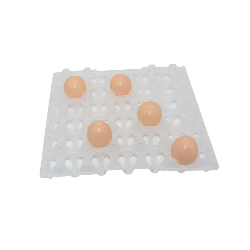 Plateau à œufs ferme, 10 pièces, bac à œufs en matériau plastique, transport et stockage des œufs, 287mm x 287mm x 30 pièces
