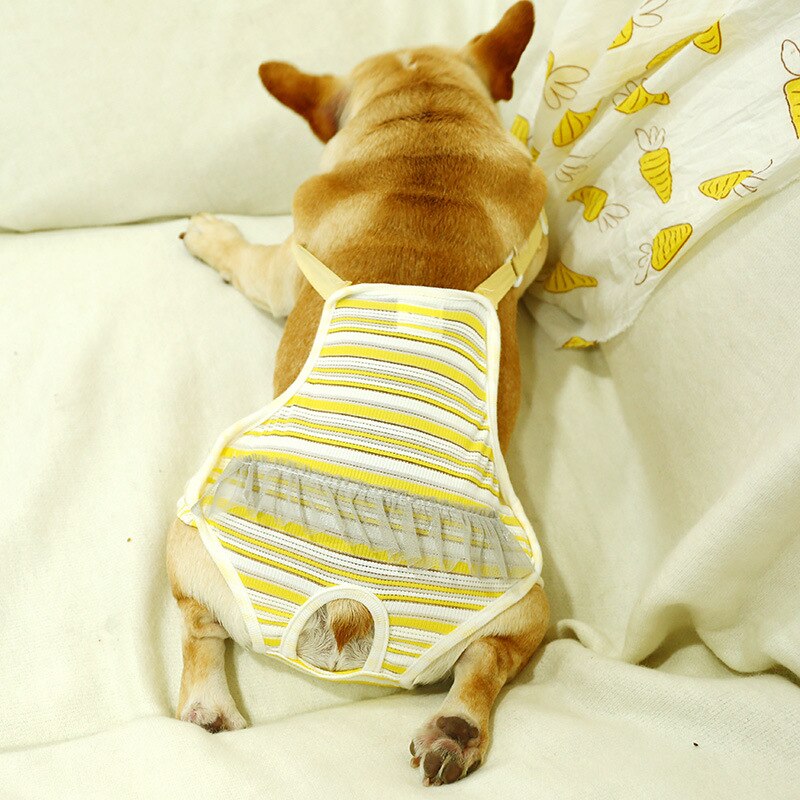 Söta franska bulldog kedi fysiologiska byxor tvättbara kvinnliga tik tjej hund underkläder shorts för små hundar maskot tillbehör: Gul rand / L-kostym 9.0-13.0kg