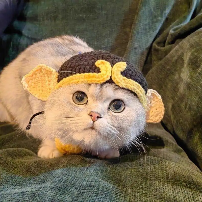 Gorro elástico bonito y refinado para mascotas, gorro de punto para cachorros y gatitos, accesorios para sesión de fotos, accesorios para gatos, otoño e invierno: M / Azul